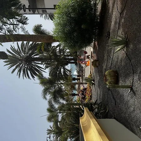 Joy And Friends 2 El Carmen Los Cristianos (Tenerife)